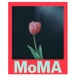 Филм Polaroid Color i-Type MoMa Edition