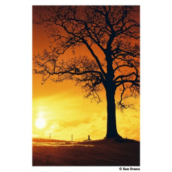 Филм Harman Redscale ISO 125 135-36