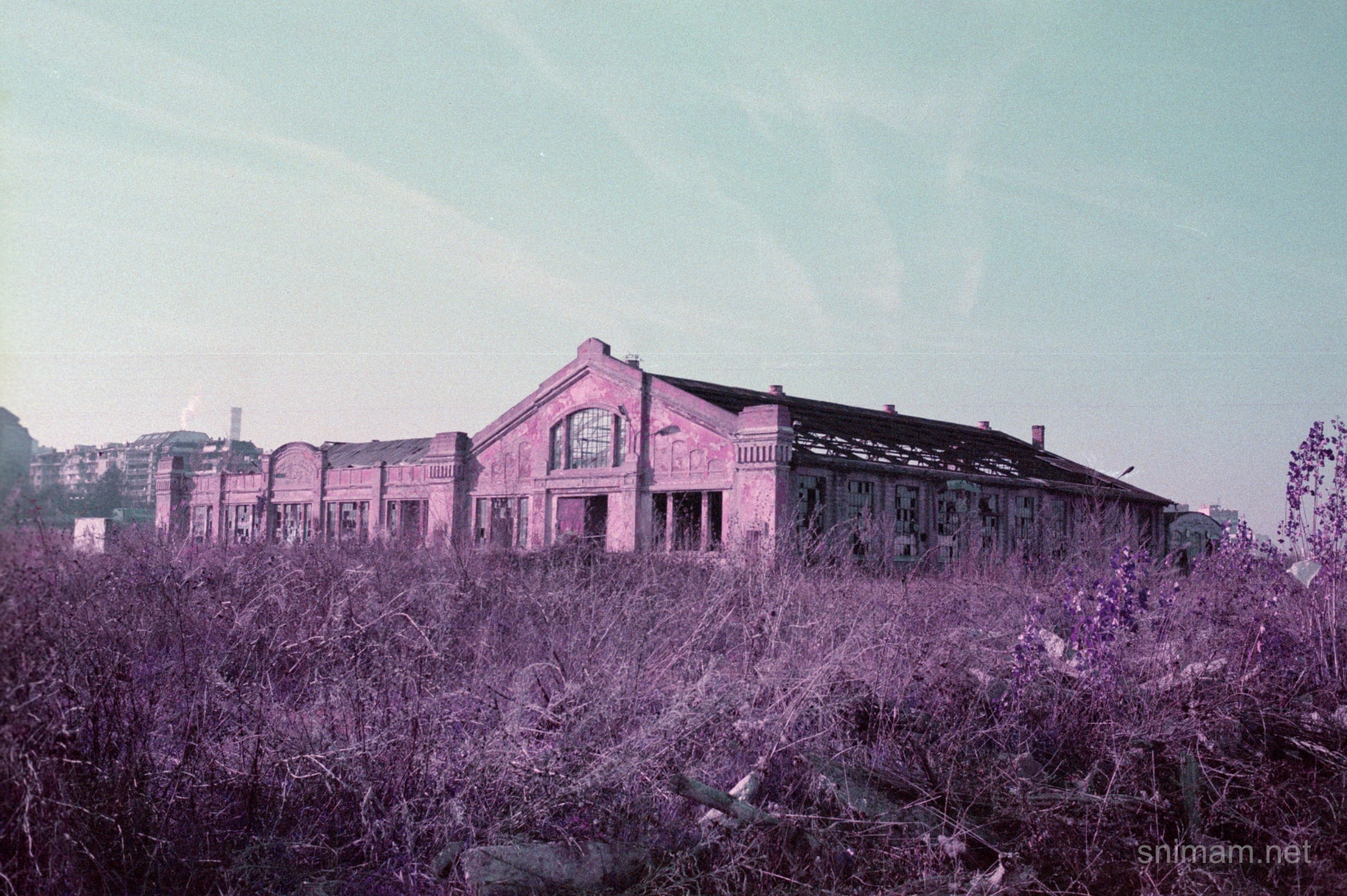 Филм Lomochrome Purple