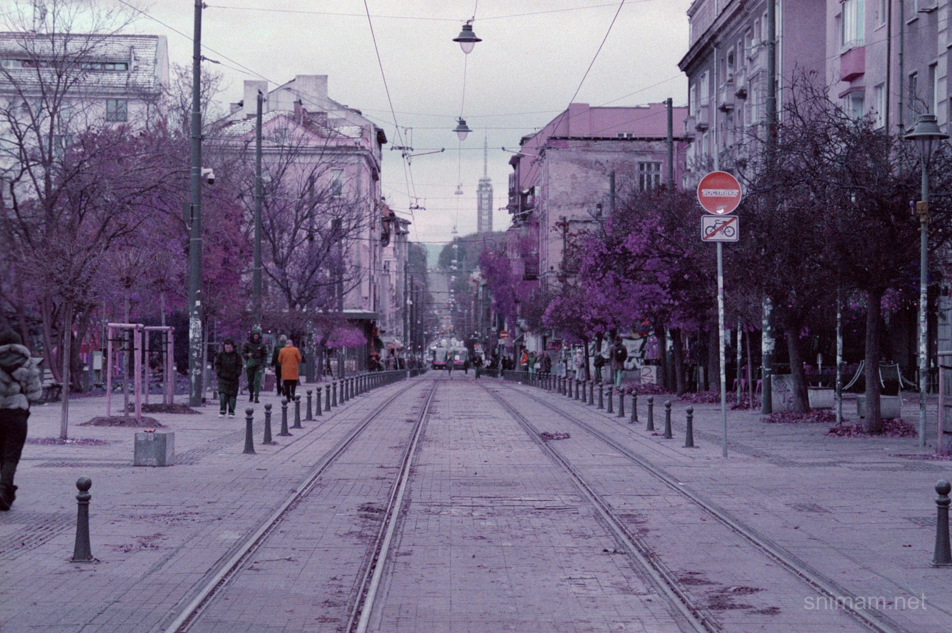 Филм Lomochrome Purple