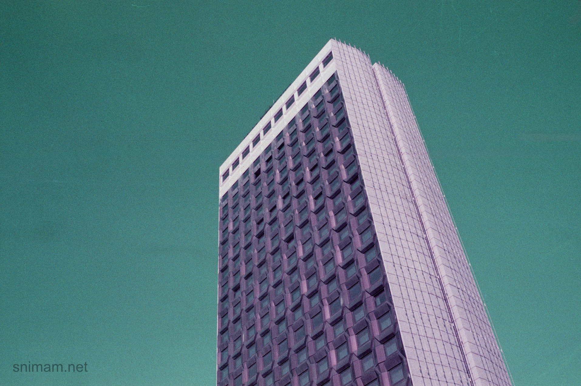 Филм Lomochrome Purple