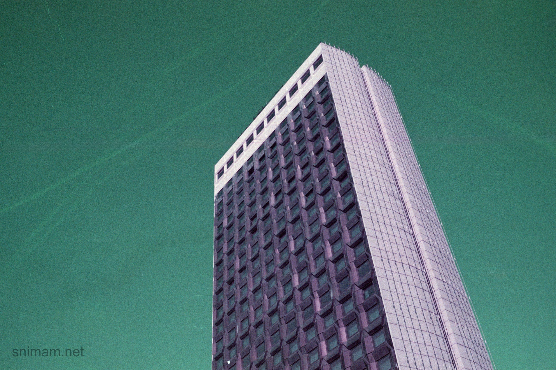 Филм Lomochrome Purple