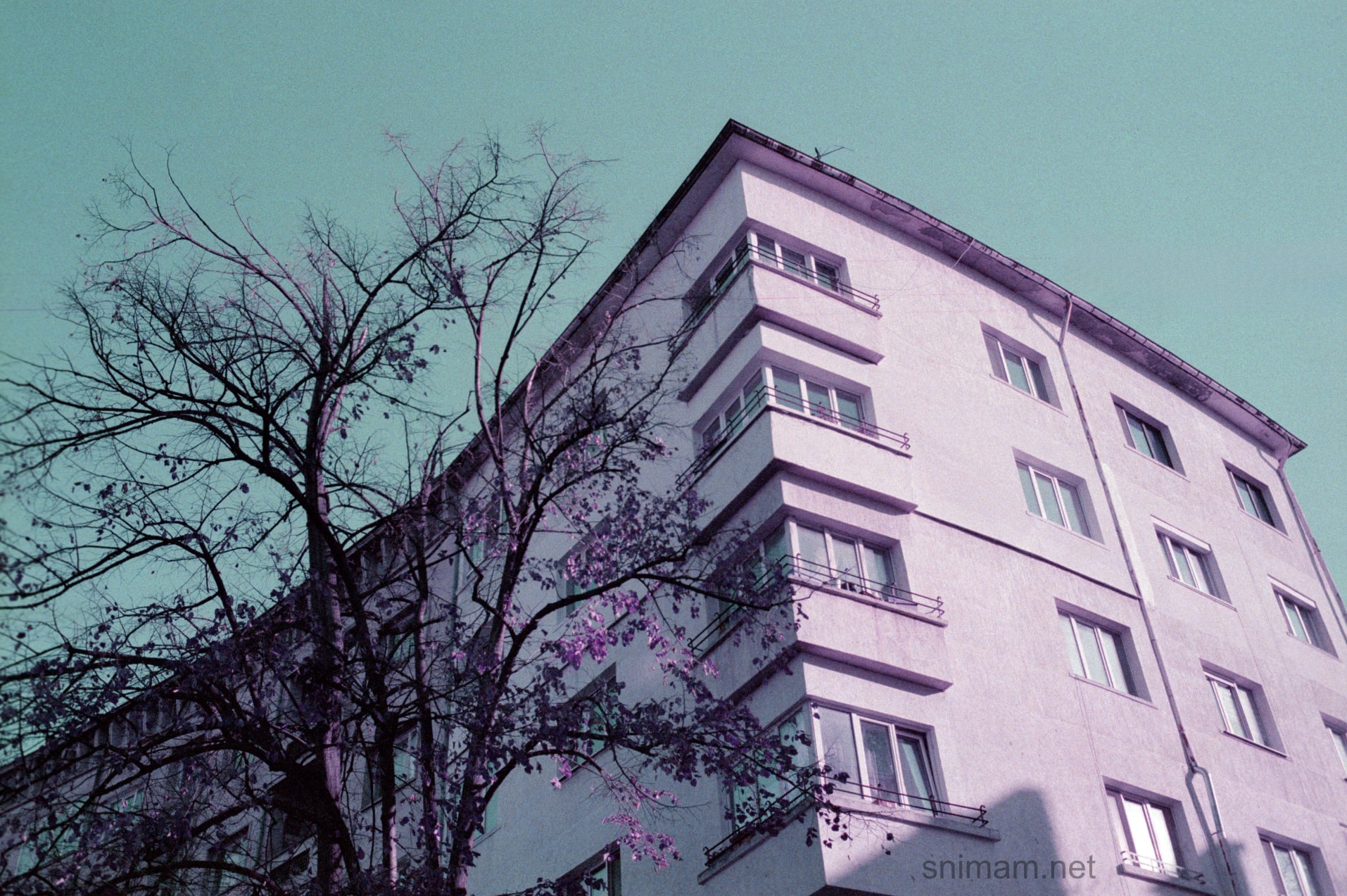 Филм Lomochrome Purple